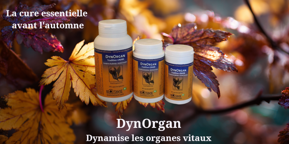 Une Cure d'Automne