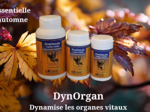 Une Cure d'Automne