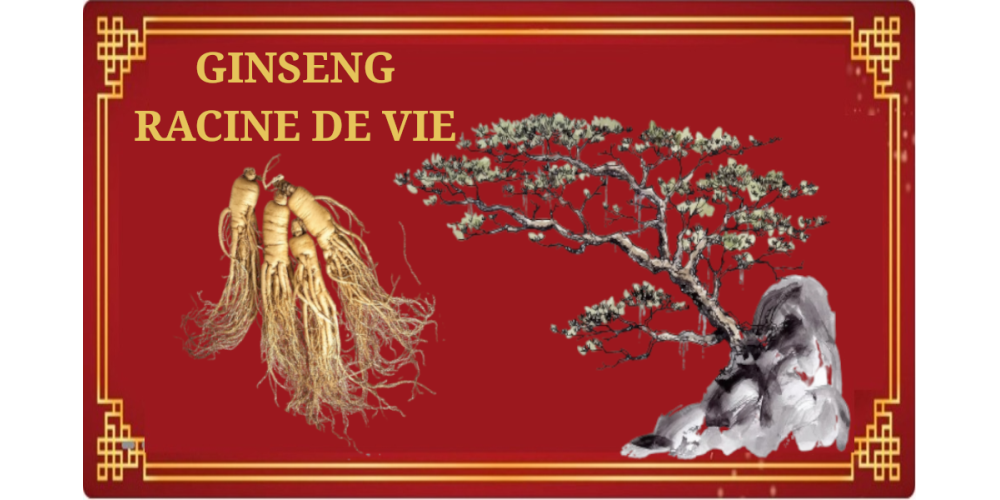 Ginseng... a long story