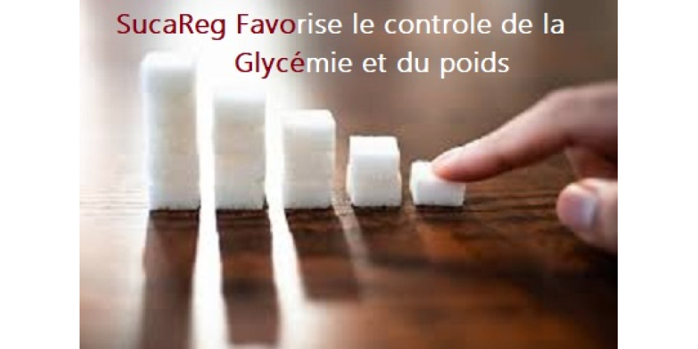 SucaReg pour la gestion du poids