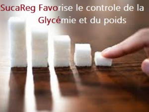 SucaReg pour la gestion du poids