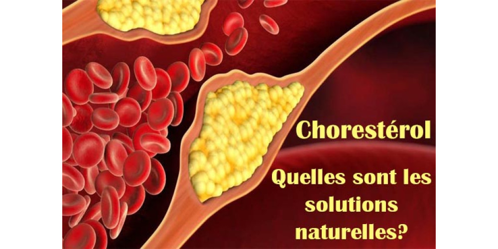 CholestCare "When you choose health, everything else benefits."